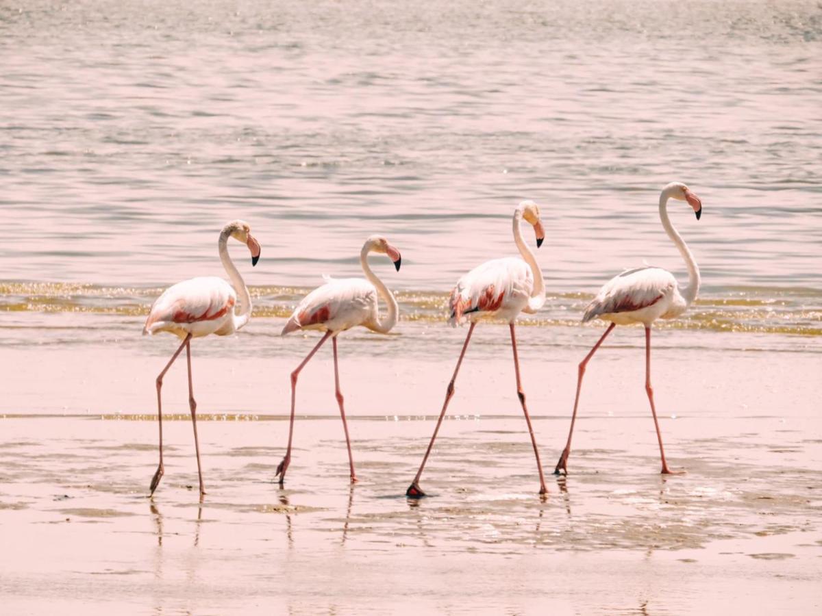 Lagoon View Self Catering Walvis Bay Exterior foto