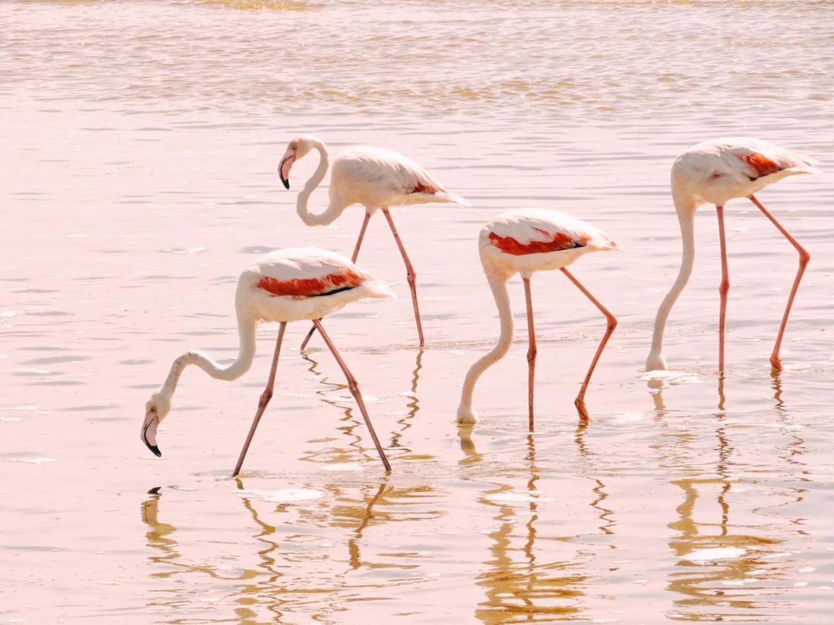 Lagoon View Self Catering Walvis Bay Exterior foto
