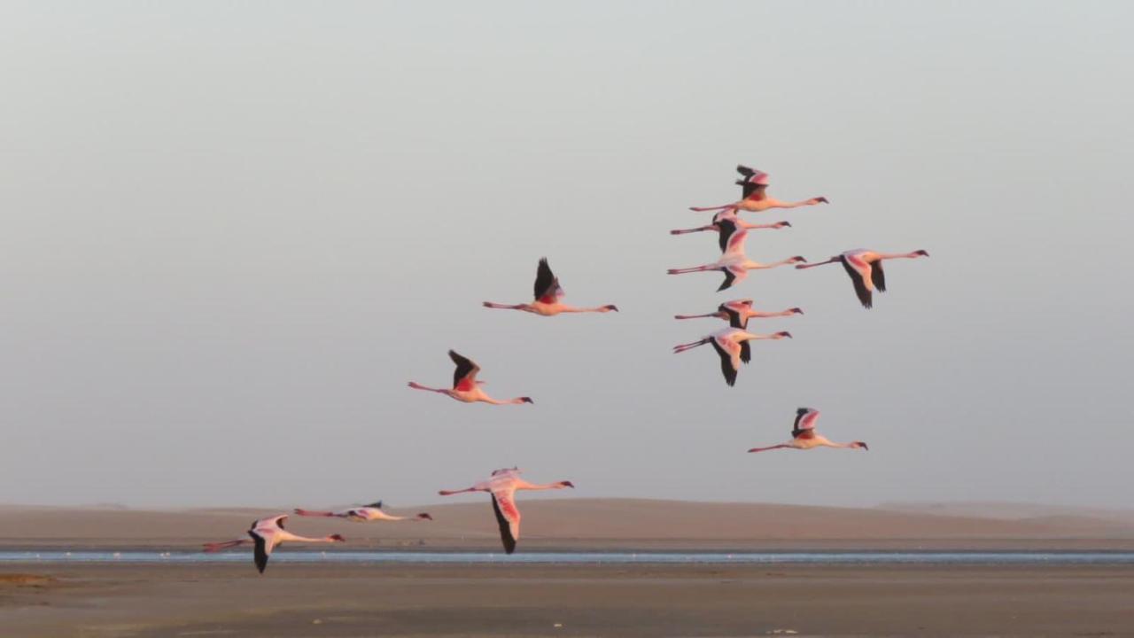 Lagoon View Self Catering Walvis Bay Exterior foto