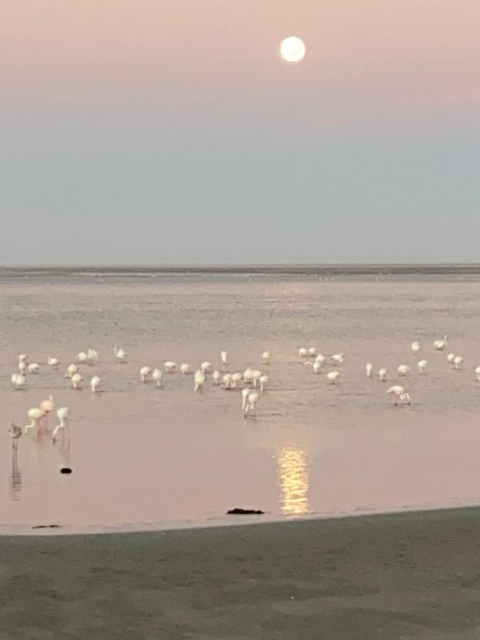 Lagoon View Self Catering Walvis Bay Exterior foto