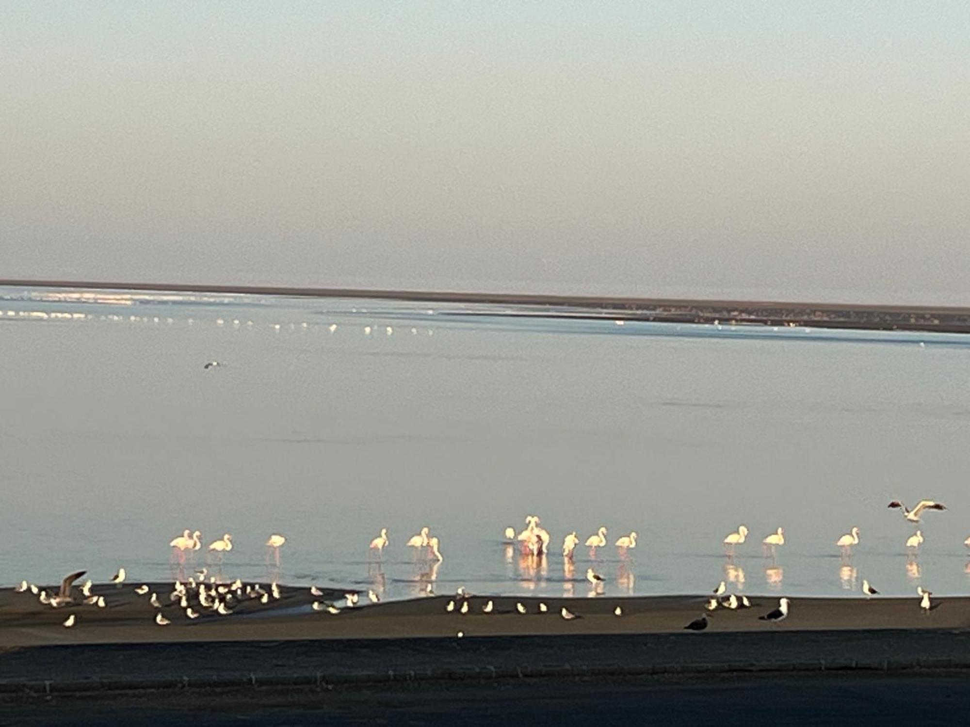 Lagoon View Self Catering Walvis Bay Exterior foto