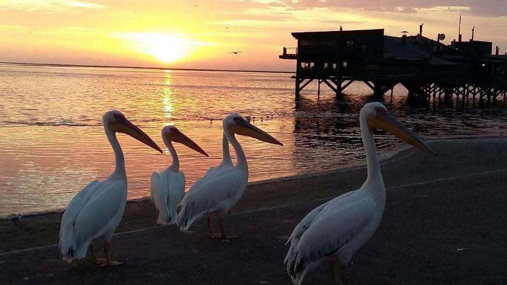 Lagoon View Self Catering Walvis Bay Exterior foto